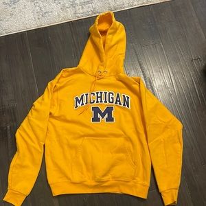 Michigan Champion Altheticwear hoodie
